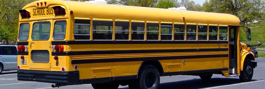 School bus School bus