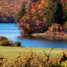 A river flows through trees in fall.