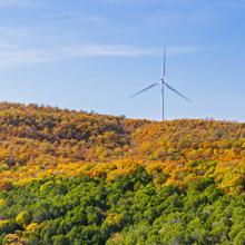 Wind turbines sit among trees in the Turner Falls area Wind turbines sit among trees in the Turner Falls area