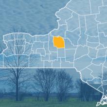 The state of New York, with outlined county borders; a cell tower.