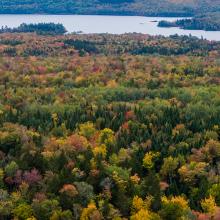 Aerial view of cell tower in a rural, forested area in autumn; a body of water is visible behind the tower