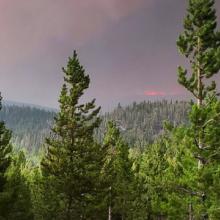FirstNet Authority logo; "Helping firefighters face a historic wildfire season amid pandemic"; a wooded area full of fir trees; smoke billowing over the horizon.
