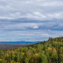 A FirstNet cell site situated on a hilly expanse surrounded by dense forest and a view of mountains and a lake in the distance.