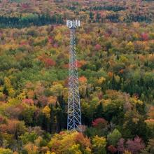 Cell tower rising over a forest of fall foliage