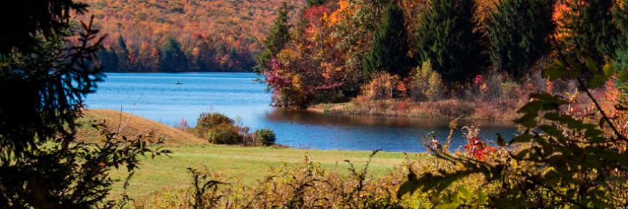 A river flows through trees in fall.