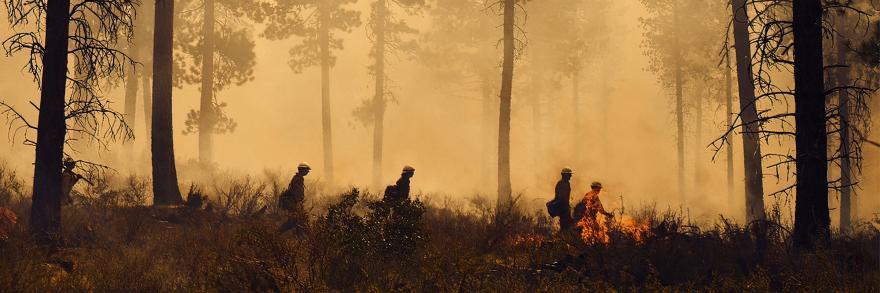 Silhouette of five fighters walking through a forest fire with orange smoke and flames