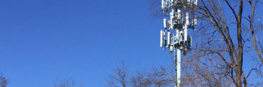 A cell tower stands over the trees
