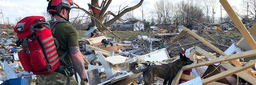 A first responder and K-9 dog stand surrounded by building and tree debris. 