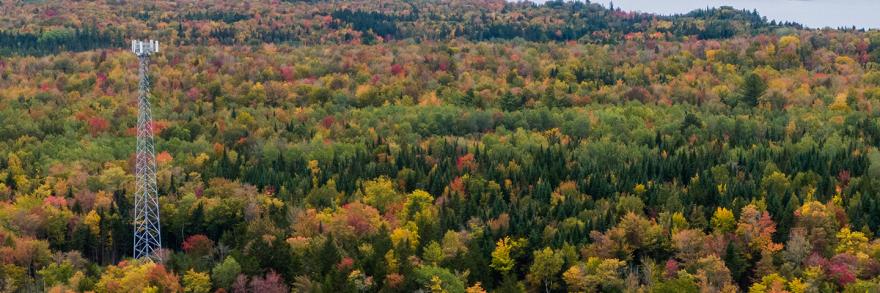 Cell tower rising over a forest of fall foliage