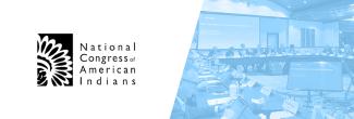 National Congress of American Indians logo; PSAC representatives and FirstNet Authority staff sit around a table discussing agenda 